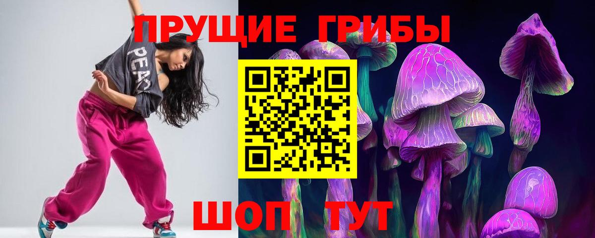 Щёкино  Галлюциногенные грибы Psilocybe  Вход с VPN 